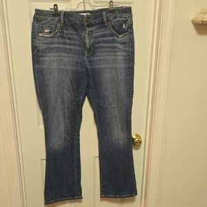 BKE Women's Boot Cut Jeans - Blue Wash with Light Whiskering